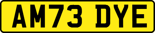 AM73DYE