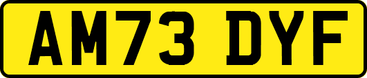 AM73DYF