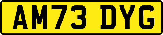 AM73DYG