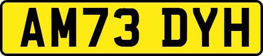 AM73DYH