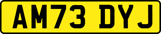 AM73DYJ