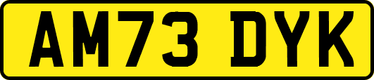 AM73DYK