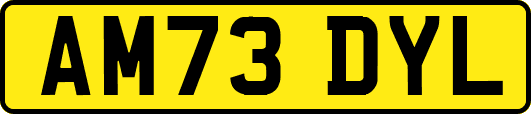 AM73DYL