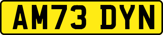 AM73DYN