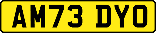 AM73DYO