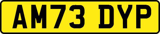 AM73DYP