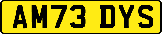 AM73DYS