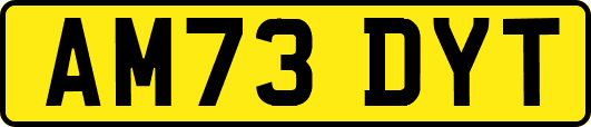 AM73DYT