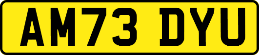 AM73DYU
