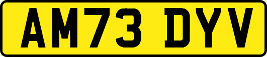 AM73DYV