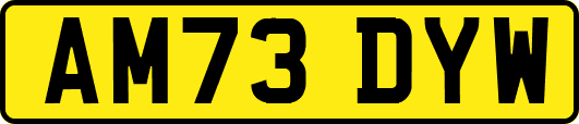 AM73DYW