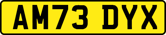 AM73DYX