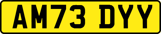 AM73DYY