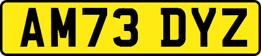 AM73DYZ