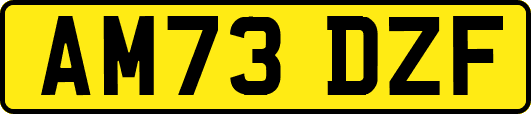 AM73DZF