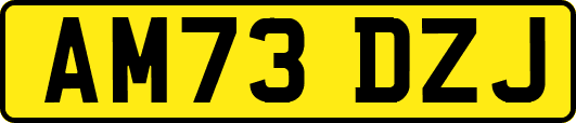 AM73DZJ