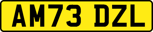 AM73DZL