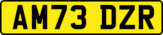 AM73DZR