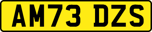 AM73DZS