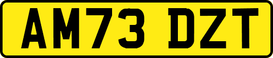 AM73DZT