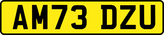 AM73DZU
