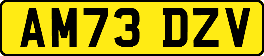 AM73DZV
