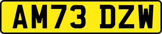 AM73DZW