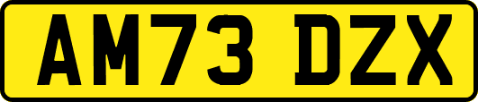 AM73DZX