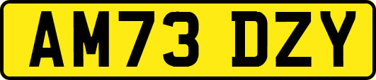 AM73DZY