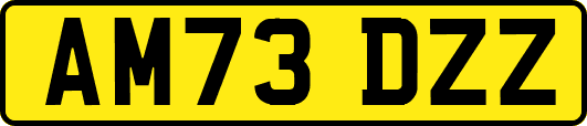 AM73DZZ
