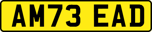 AM73EAD