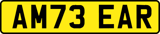 AM73EAR