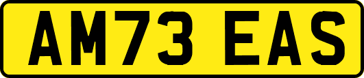 AM73EAS