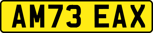 AM73EAX