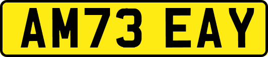 AM73EAY