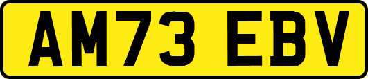 AM73EBV