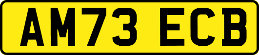 AM73ECB