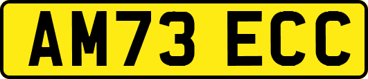 AM73ECC