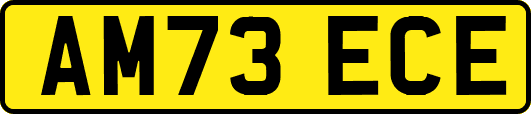 AM73ECE