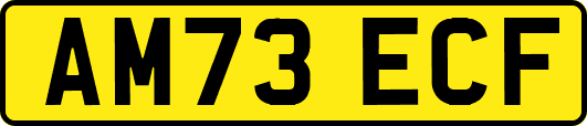AM73ECF