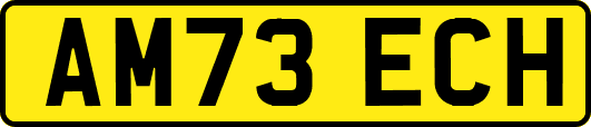 AM73ECH
