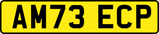 AM73ECP