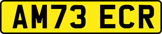 AM73ECR