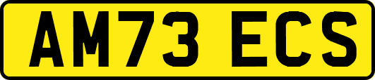 AM73ECS