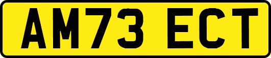 AM73ECT