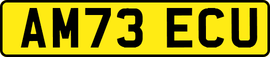 AM73ECU