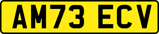 AM73ECV