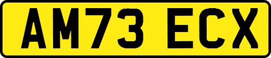 AM73ECX