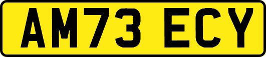 AM73ECY