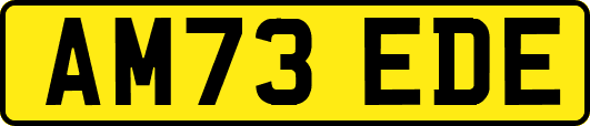 AM73EDE